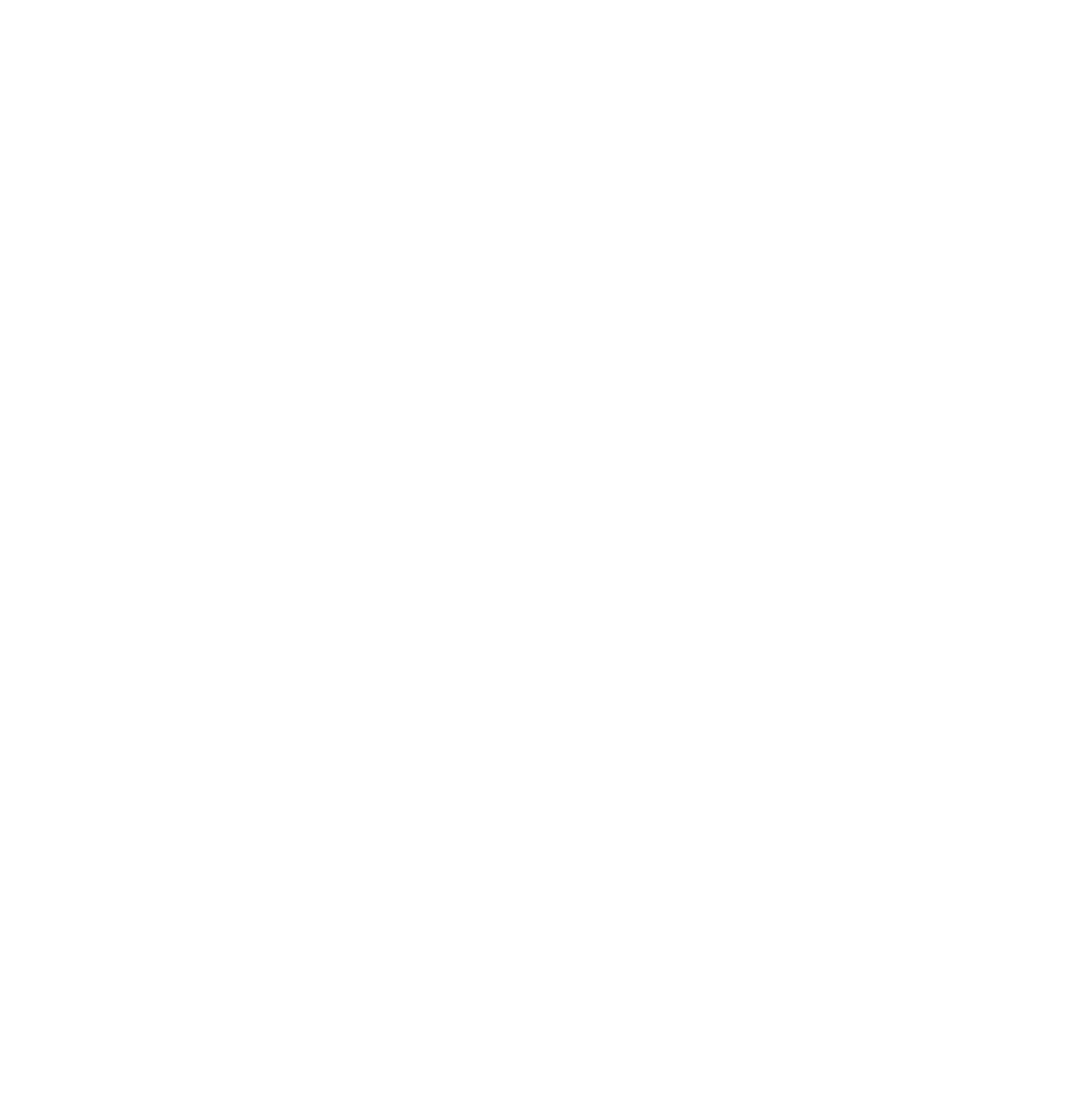 VOSSTORM